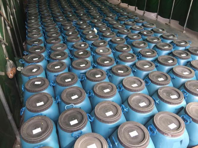 河南FYT-1桥面防水材料厂家优选指南 德西尼送检资料齐全，铸就品质工程